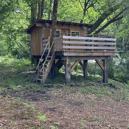 Domaine De Coursat Avec Piscine Chauffee Et Services De Gamme Pour 16 Personnes - Fr-1-791-35 *