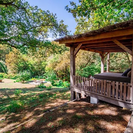 Domaine De Coursat Avec Piscine Chauffée Et Services De Gamme Pour 16 Personnes - Fr-1-791-35 Castets